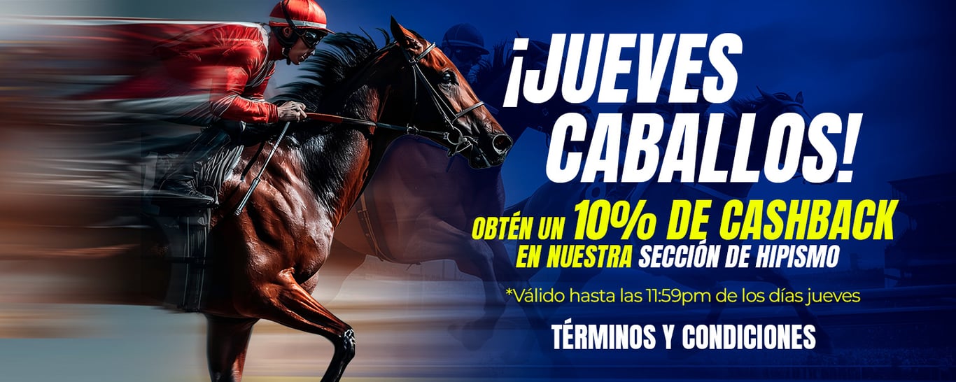 Términos y condiciones: 