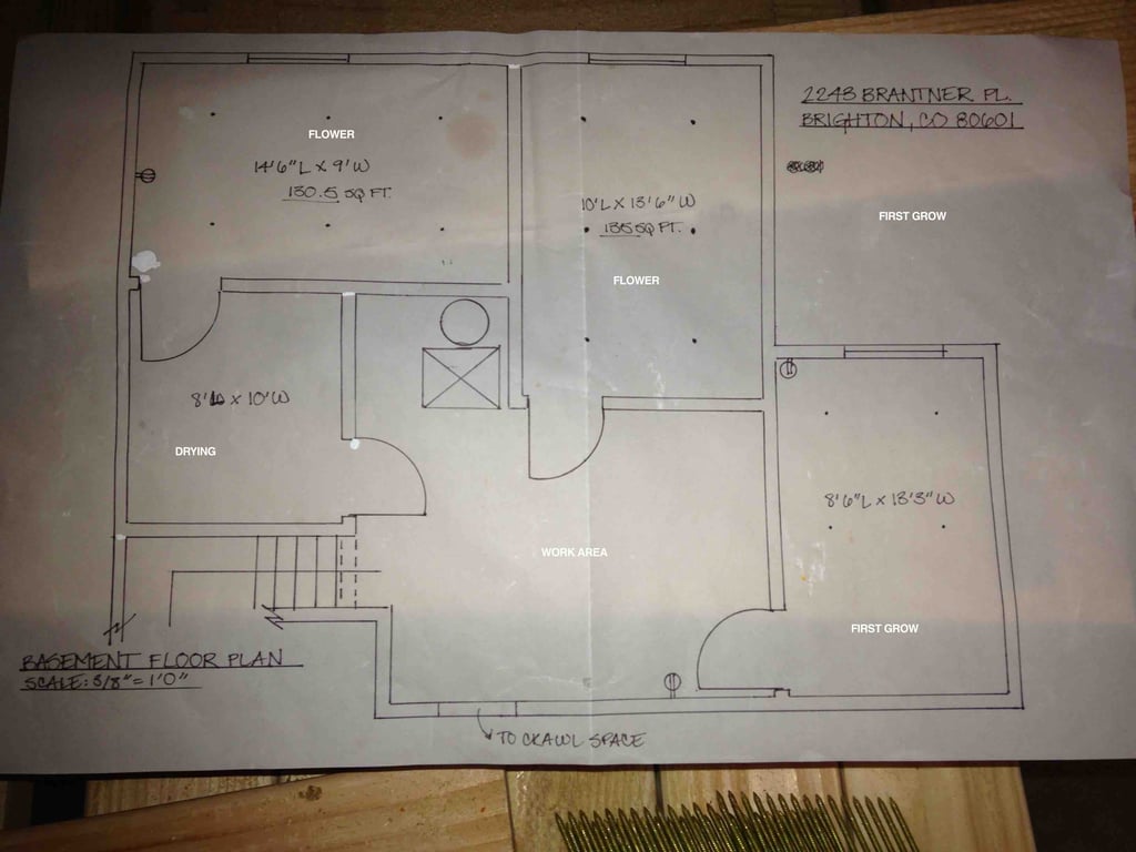 Greenpoint Seeds journey image