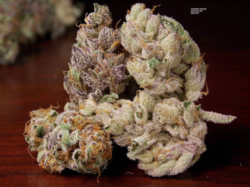 Macro flower shot showing trichomes and bag appeal