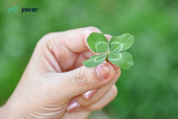 Ý nghĩa cầu may, bình an và tài lộc