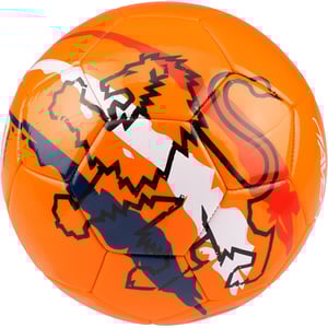 16XN - Voetbal Maat 5 • Euro Triumph •