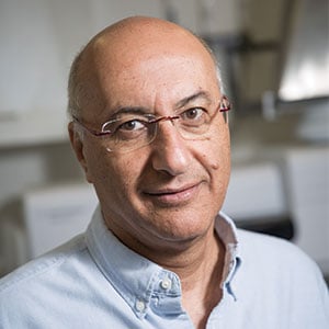 Professor Shlomo Magdassi