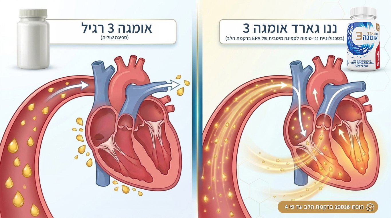 ההבדל בגודל בין כמוסה גנרית לננו-טיפות ננו גארד אומגה 3
