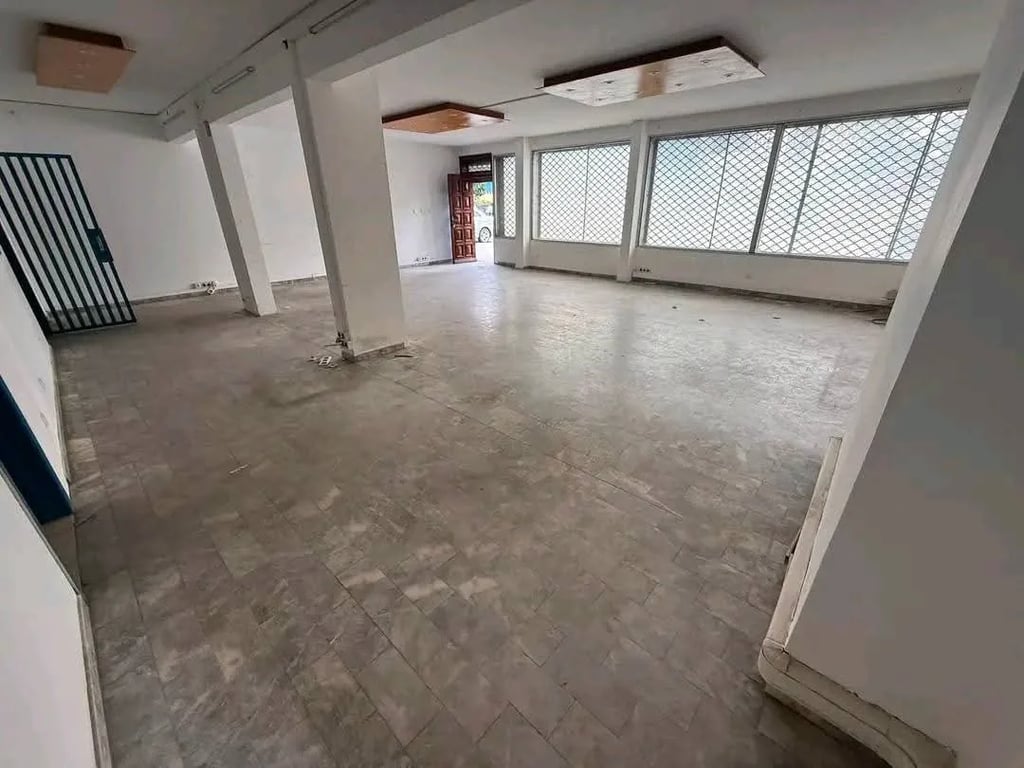 172 m² Open space à louer à Bonanjo