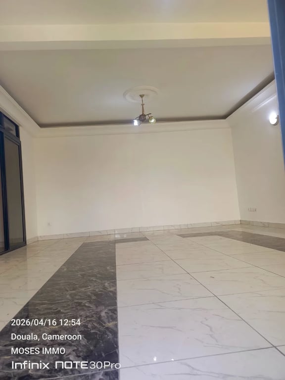 Appartement à louer à bonapriso