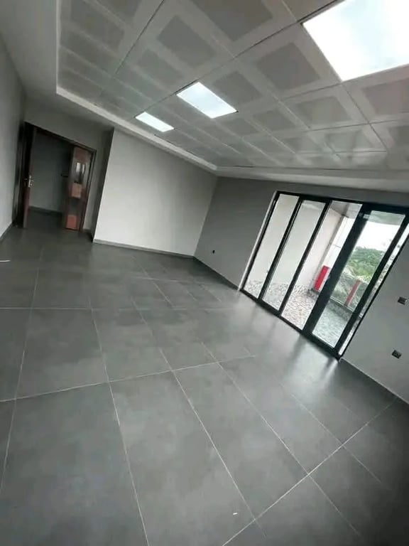 Appartement 02 chambres | disponibilité immédiate | Bonapriso