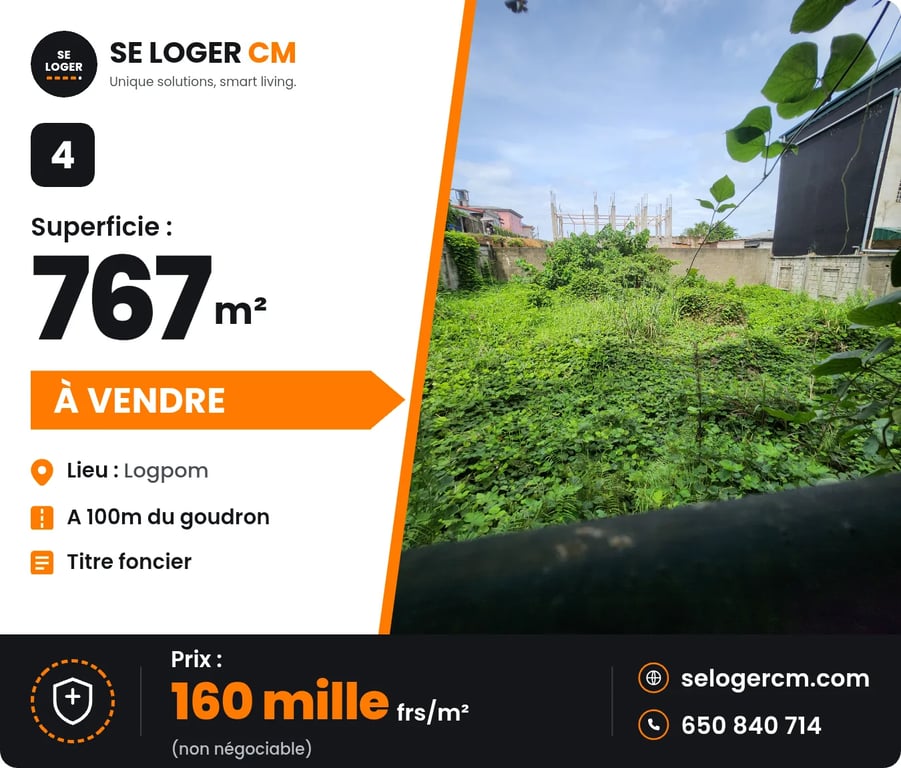 Terrain à Logpom, 100m du goudron – 122,7 M FCFA