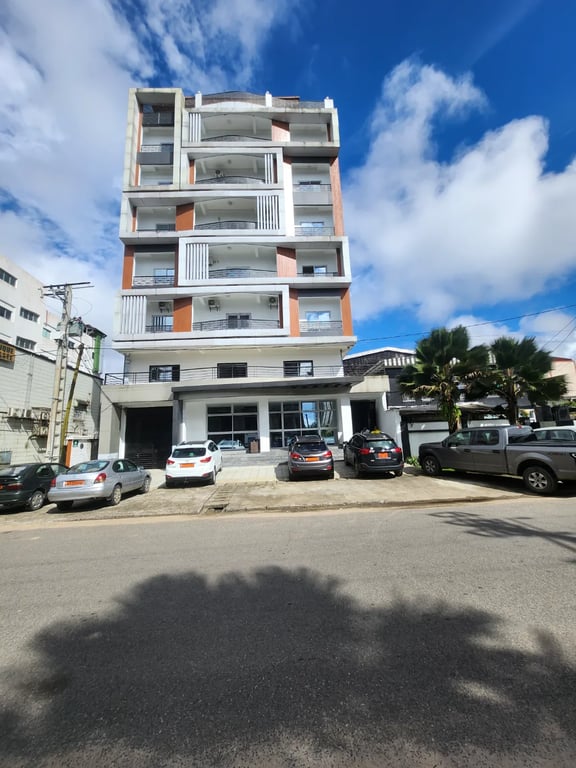 Penthouse 3 chambres Bonapriso, rue UTA – 2 000 000 FCFA