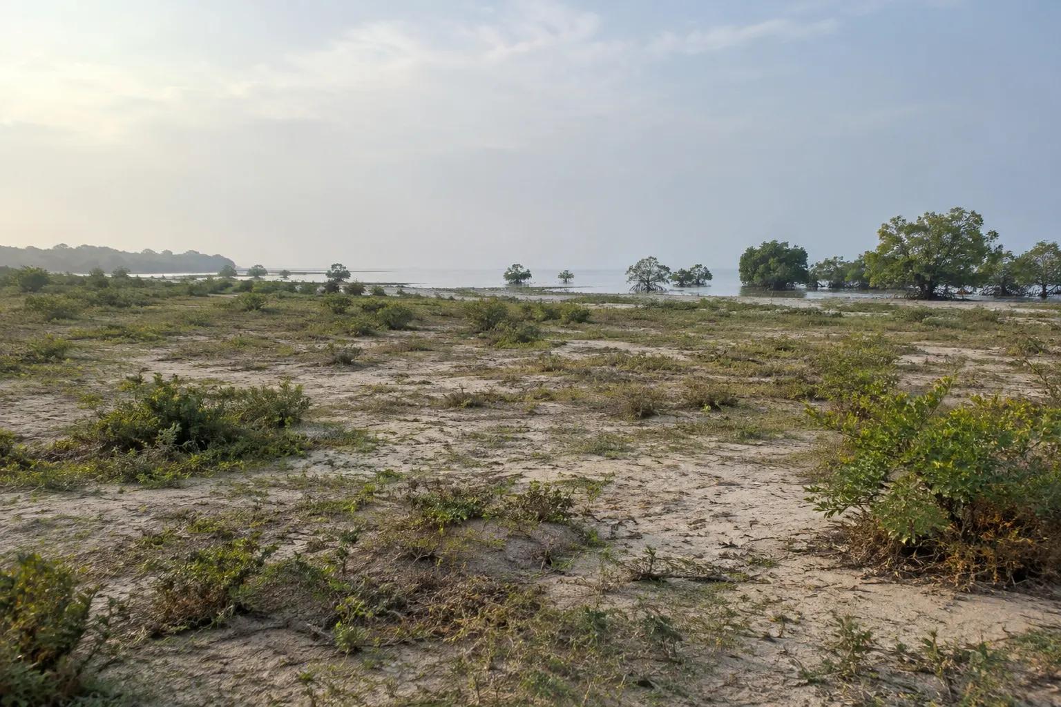 Gambar rujukan tanah perindustrian kosong