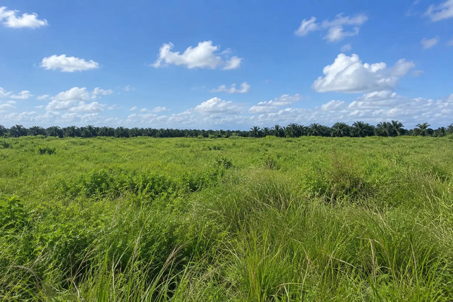 Reference image of vacant industrial land