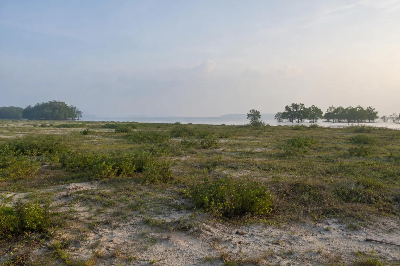 Gambar rujukan tanah perindustrian kosong