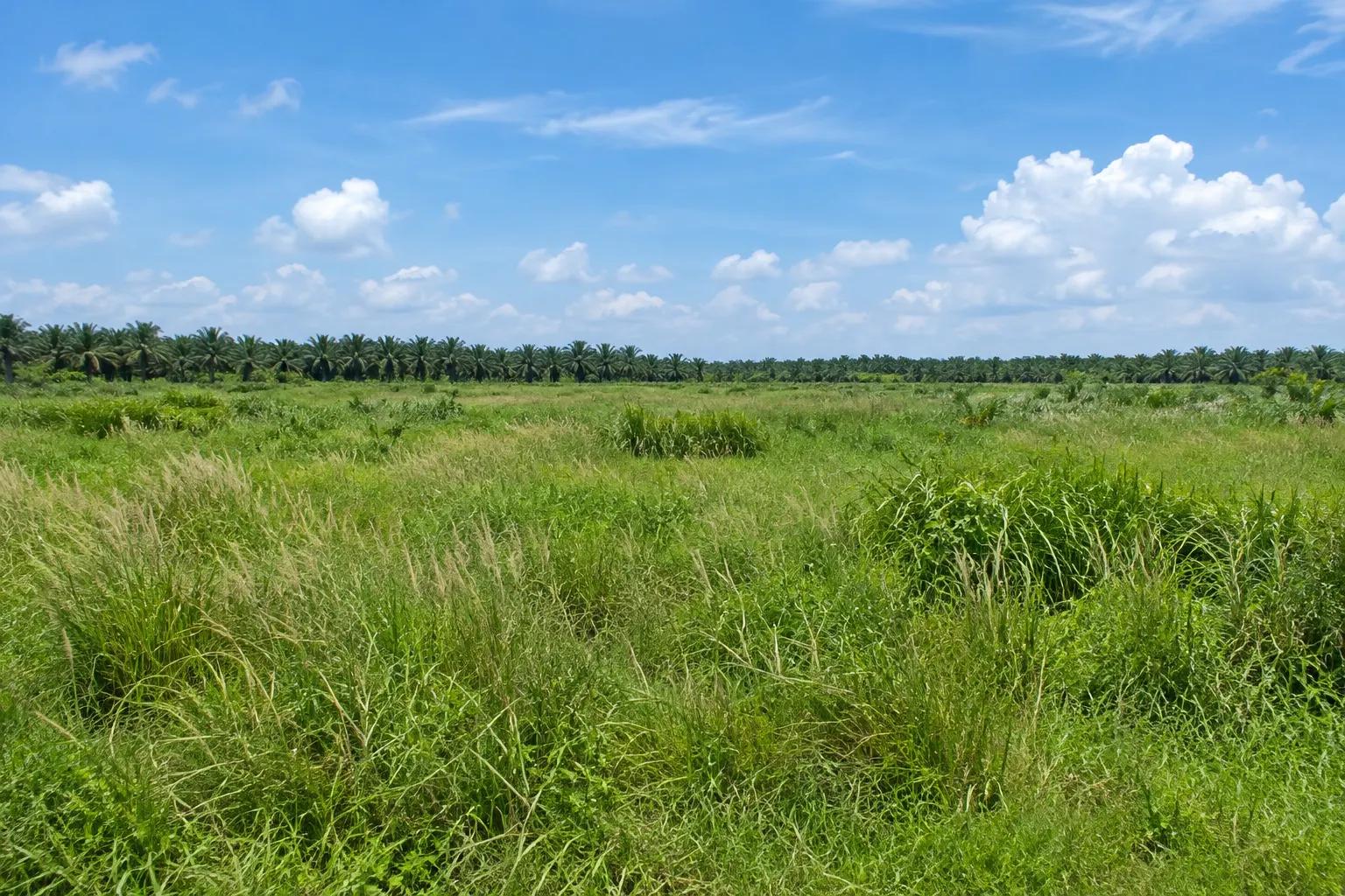 Gambar rujukan tanah perindustrian kosong