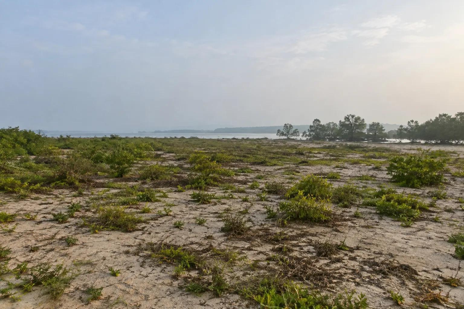 Reference image of vacant industrial land