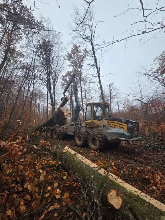Forwarder