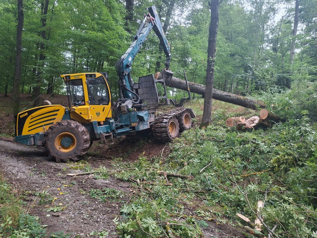 Forwarder