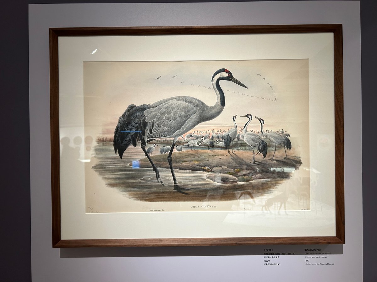 【觀展隨筆】托勒密博物館《多識萬物》：當兩百年前的珍藏，默默在展廳裡當了「配角」