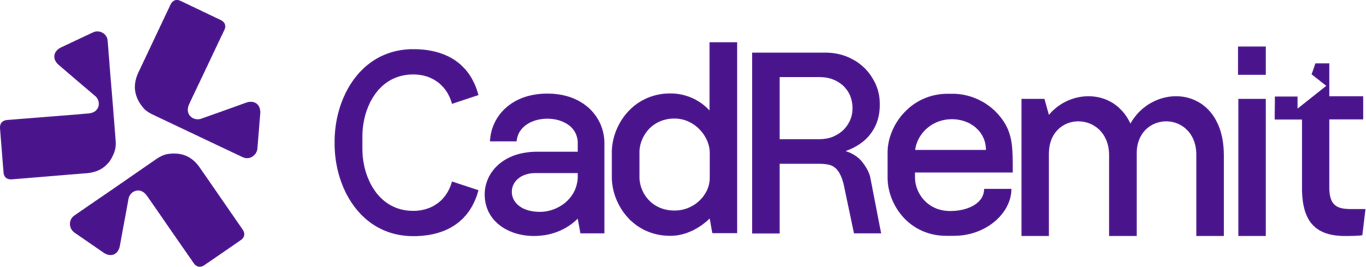 Cadremit Logo