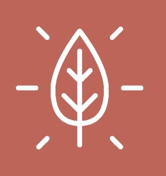 Propietario: Roger i Amadeu