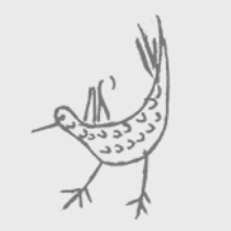 Propietario: Conxita