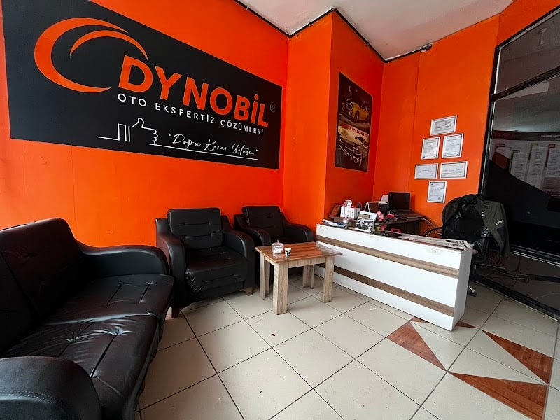 Dynobil Ardahan Kaptanpaşa Oto Ekspertiz - Google Fotoğraf