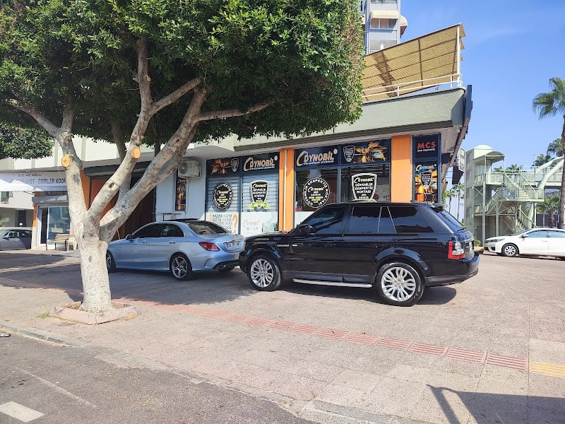 DYNOBİL MERSİN YENİŞEHİR CUMHURİYET OTO EKSPERTİZ  - Google Fotoğraf