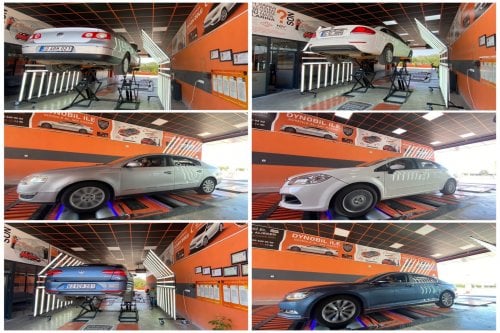 DYNOBİL ŞANLIURFA SİVEREK AYVANAT OTO EKSPERTİZ  - Google Fotoğraf