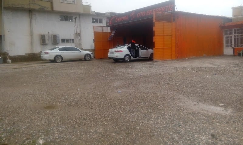 DYNOBİL ŞIRNAK CİZRE SUR OTO EKSPERTİZ  - Google Fotoğraf