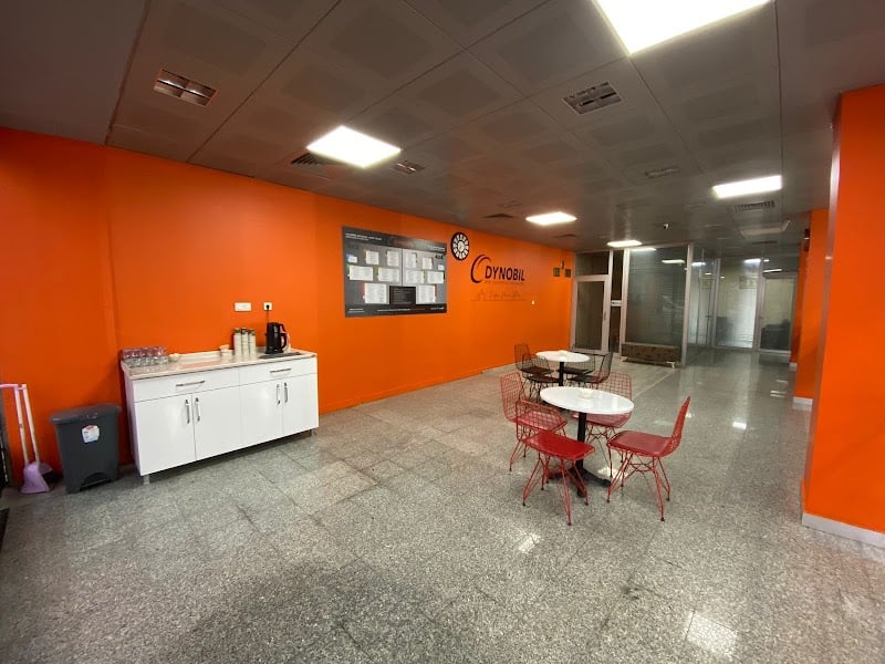 DYNOBİL TOKAT YENİ YURT OTO EKSPERTİZ  - Google Fotoğraf