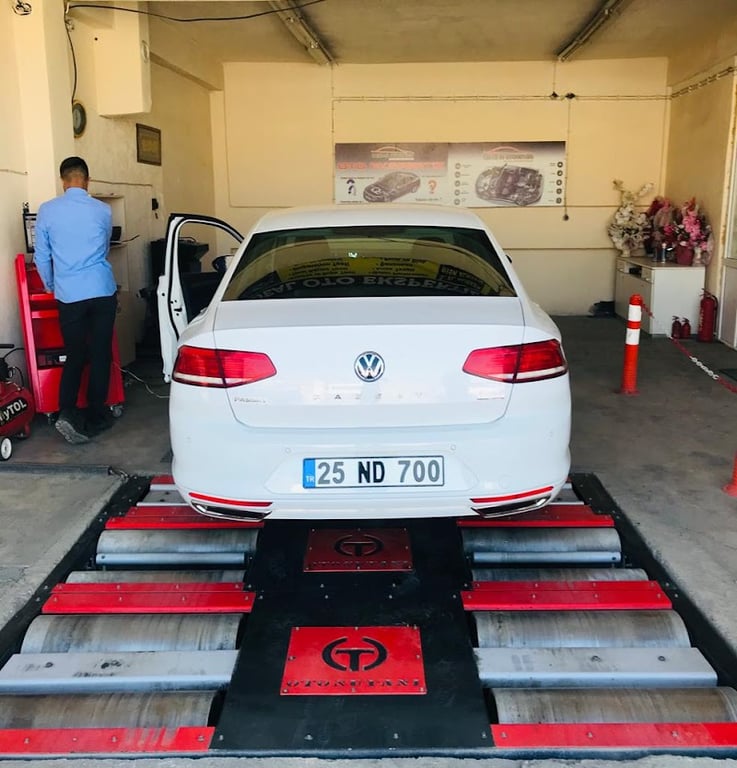 Otonu Tanı Erzurum Oltu - Google Fotoğraf