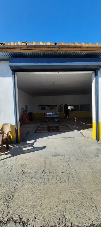 Otonu Tanı Erzurum Oltu - Google Fotoğraf