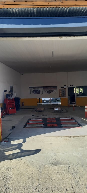 Otonu Tanı Erzurum Oltu - Google Fotoğraf