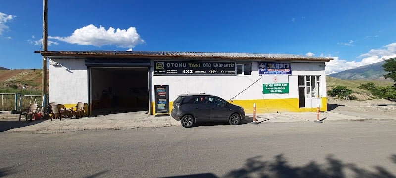 Otonu Tanı Erzurum Oltu - Google Fotoğraf