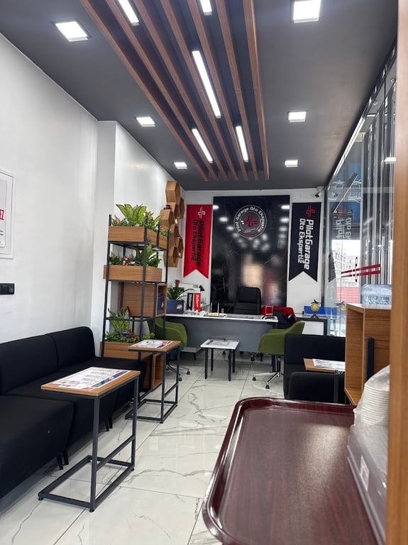 Pilot Garage Şanlıurfa Haliliye Kameriye Oto Ekspertiz - Google Fotoğraf