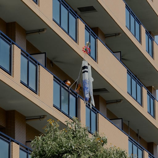 a man sets up koinobori on his balcony in preparation for children's day