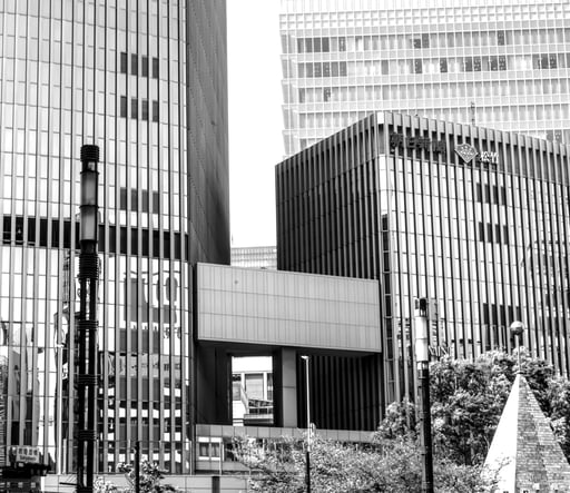 b/w bridge