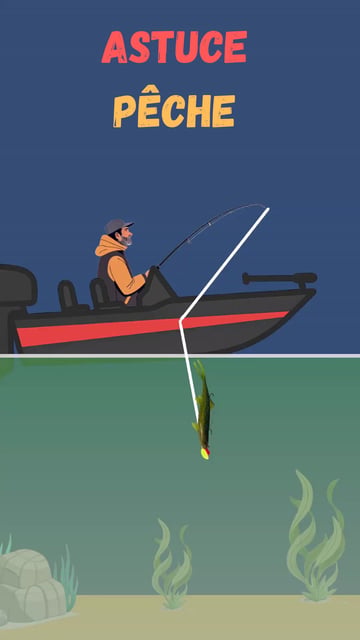 Pêche verticale du sandre : technique complète et conseils