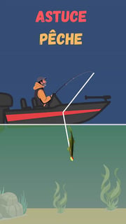 Pêche verticale du sandre : technique complète et conseils