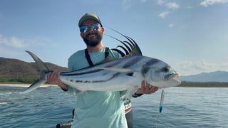 Avatar de thomasbouron64