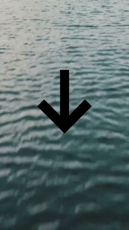 Montage Carolina Rig : La technique ultime pour les carnassiers