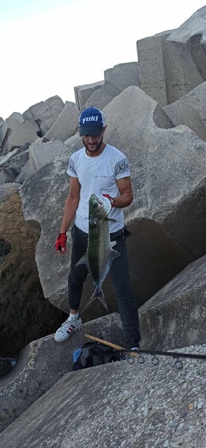 Image 1 — la pêche aux shor jigging