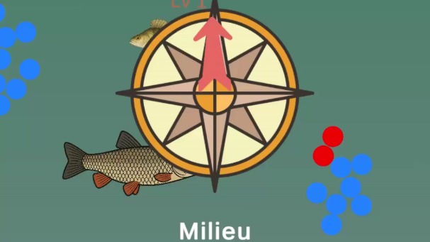 Les 3 facteurs clés qui déterminent la taille des poissons