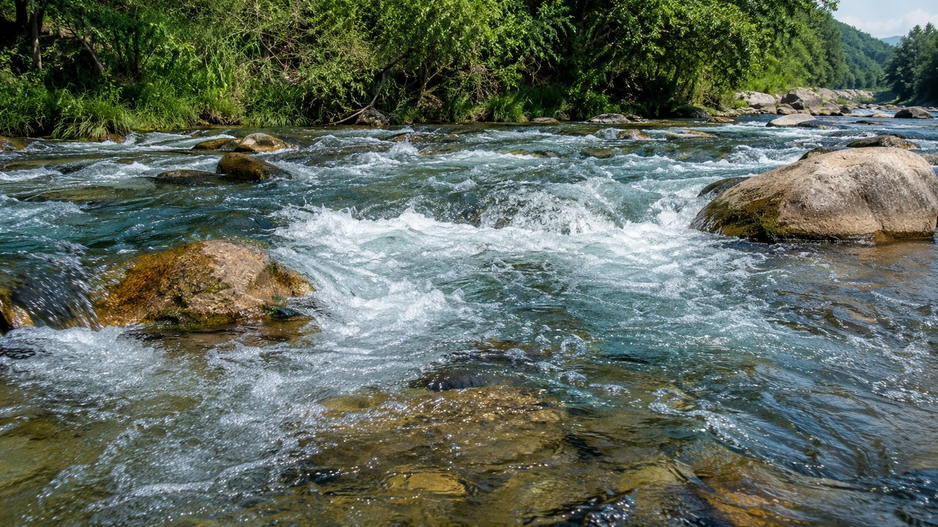 Habitat