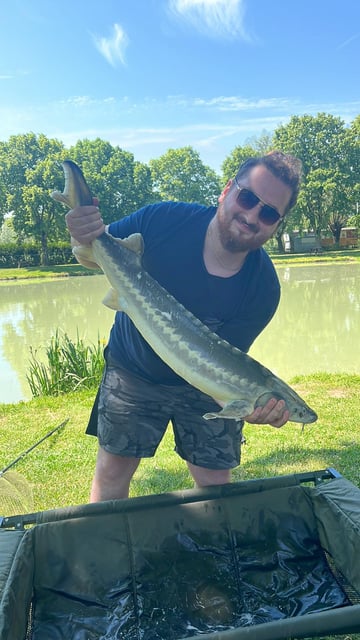 Image 7 — Débutant pêche a la carpe au coup