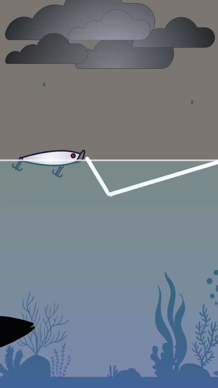 Pourquoi le blanc est LA couleur de leurre la plus efficace