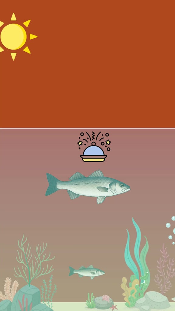 Pêche du bar selon les saisons : adapter son approche toute l'année