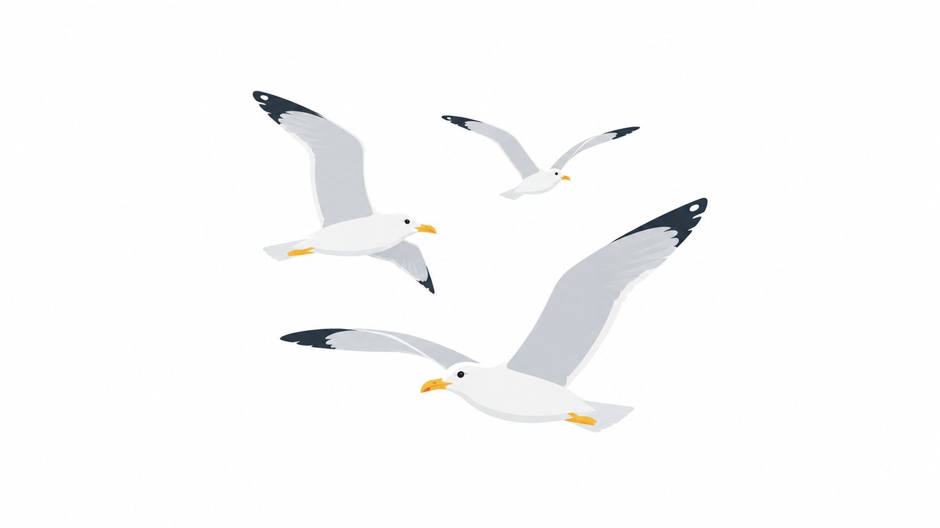 Oiseaux
