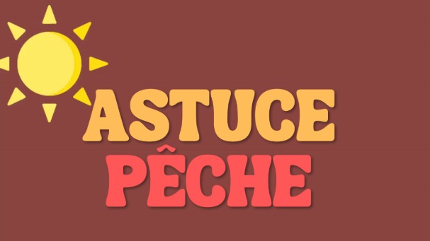 Pourquoi les poissons mordent plus le matin et le soir ?