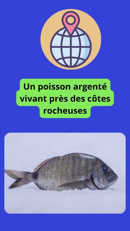 Pêche au sar : guide complet pour capturer ce sparidé méditerranéen
