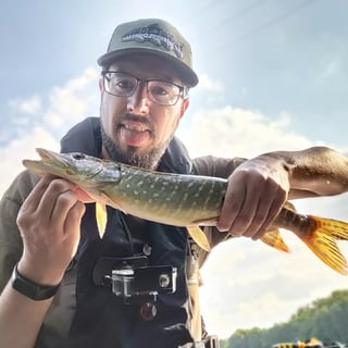 Avatar de Carnawithcare