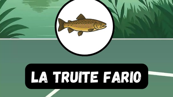 Truite Fario : Guide Complet pour Réussir sa Pêche